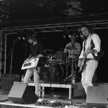 Animal Road Kersenpop 2017