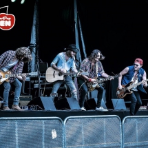 Animal Road Kersenpop 2018
